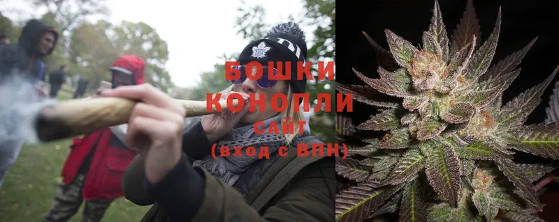 Конопля Ganja  Богородск 